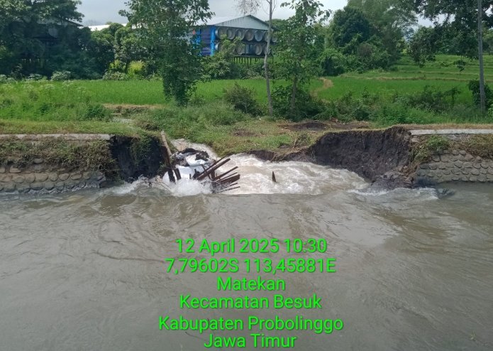 Tanggul Dam Jebol, Swadaya Warga Tak Cukup, Kepala Desa Krampilan Minta PUPR Turun Tangan