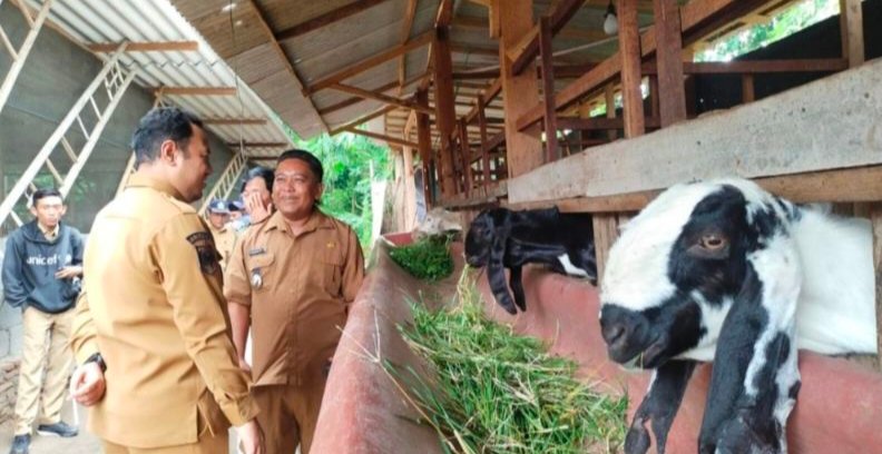 Wabup Fahmi Kunjungi Sentra Peternakan Desa Puspan