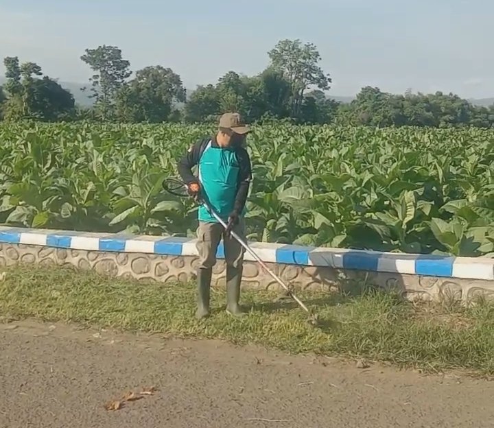 Mesin Rumput dan Keteladanan Sang Kades: Giat Bersih Jalan Desa Petemon